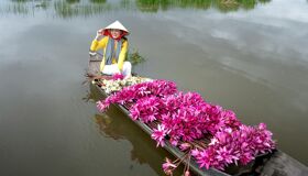 Start your e-visa-prepared journey with Vietnam’s vibrant glow